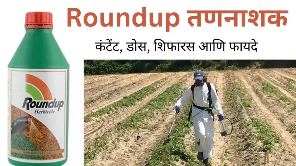 roundup