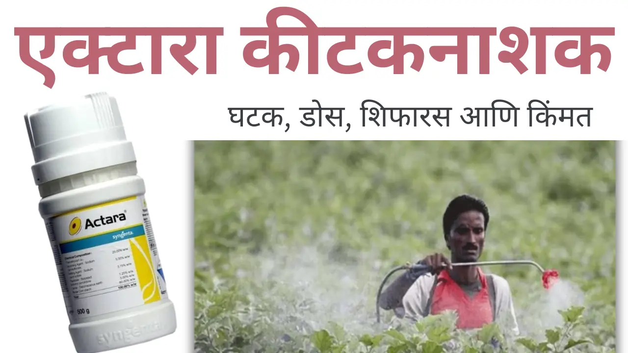 actara insecticide